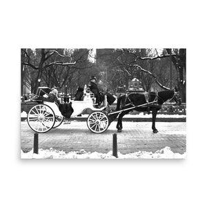 Carriage at Central Park 24″×36″ Art Print - The New Wave NYC - Poster - 