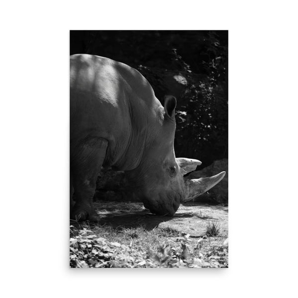 Rhinoceros 24″×36″ Art Print - The New Wave NYC - Poster - 